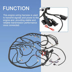 Standalone Wiring Harness for LS3 LS2 6.2L 58X (6L80E 6L90E)