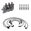 Set of 6 Denso Ignition Coil Wires & NGK Iridium Spark Plugs for Mustang (1994–2004)