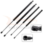 Set of 2 Tailgate & Hood Lift Supports for Lexus RX350 RX450h (2010–2015)