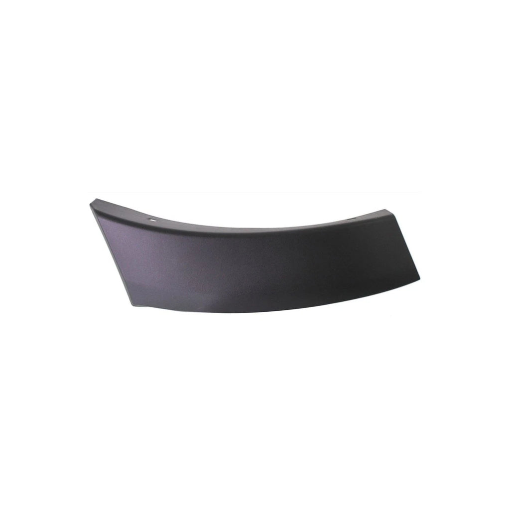 Set of 2 Quarter Panel Moldings for Ford (LH & RH)