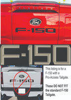 Tailgate Letter Inserts Pro-Access for 2024-2026 Ford F150 (Flat Dark Earth)