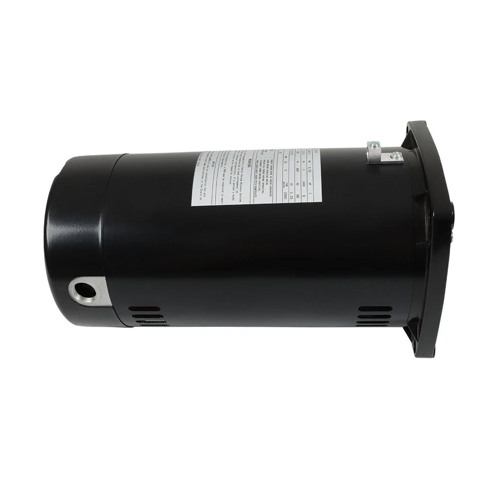 Pool Pump Motor for Square Flange (115/230V)