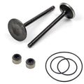 Intake Exhaust Valve for YAMAHA Big Bear Bruin Wolverine Grizzly (1990–2006)
