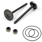 Intake Exhaust Valve for YAMAHA Big Bear Bruin Wolverine Grizzly (1990–2006)