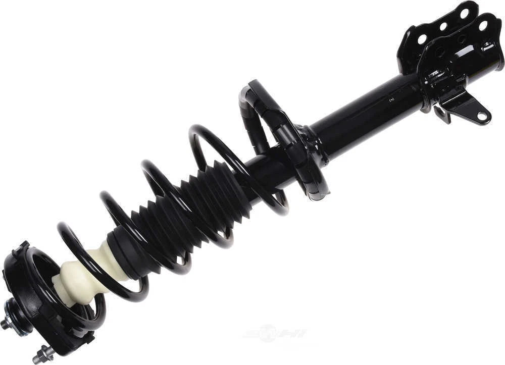 Suspension Strut and Coil Spring Assembly for Mazda Protege (1999–2003)