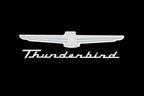 Fender Gripper Protective Cover Cushion for Ford Thunderbird (1955–1956)