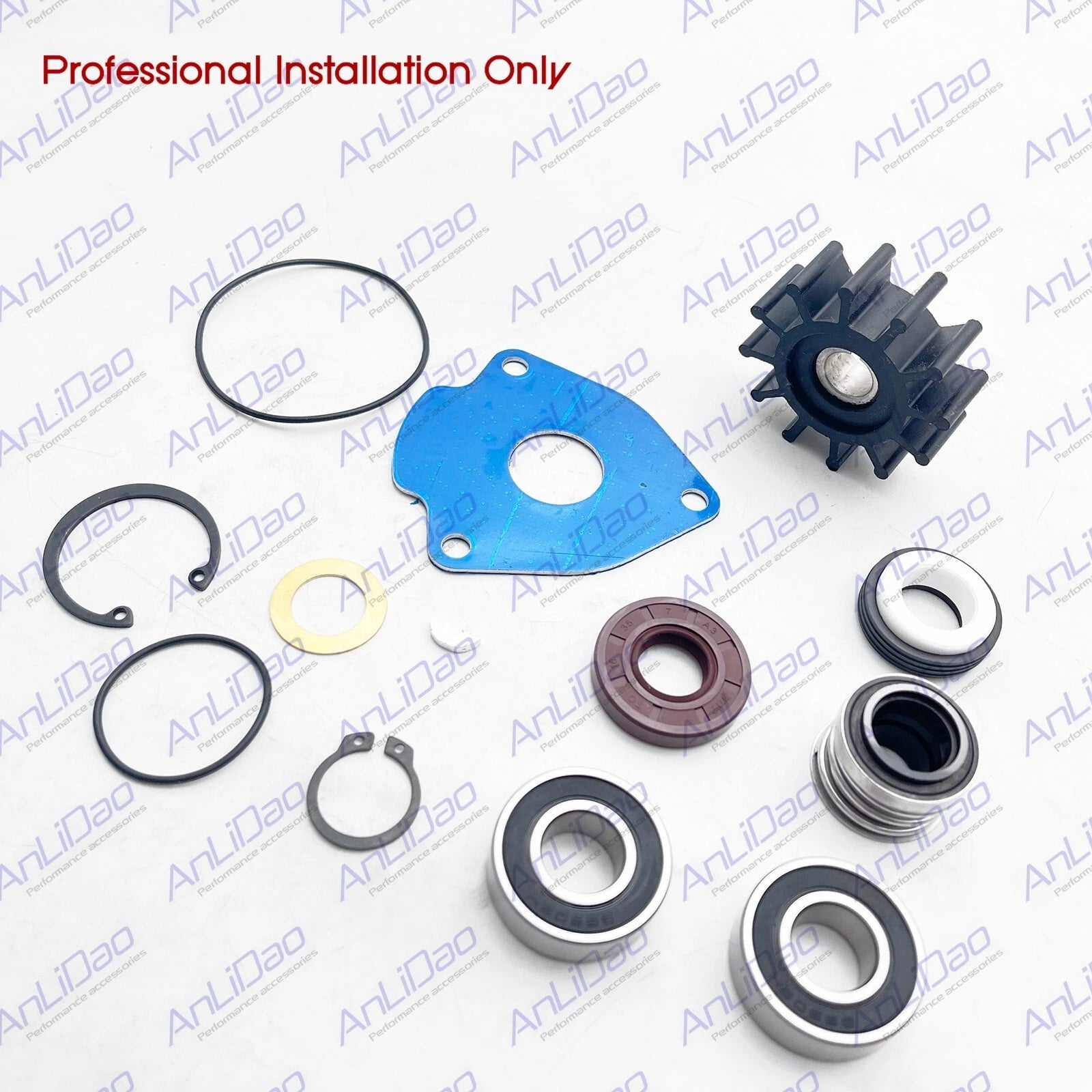Rebuild Kit for Sherwood G702 Onan Pump Mount (132-0459, 185-6579)