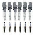 Set of 6 Ignition Coils & Bosch Iridium Spark Plugs for Q7 Touareg Passat (2007–2010)