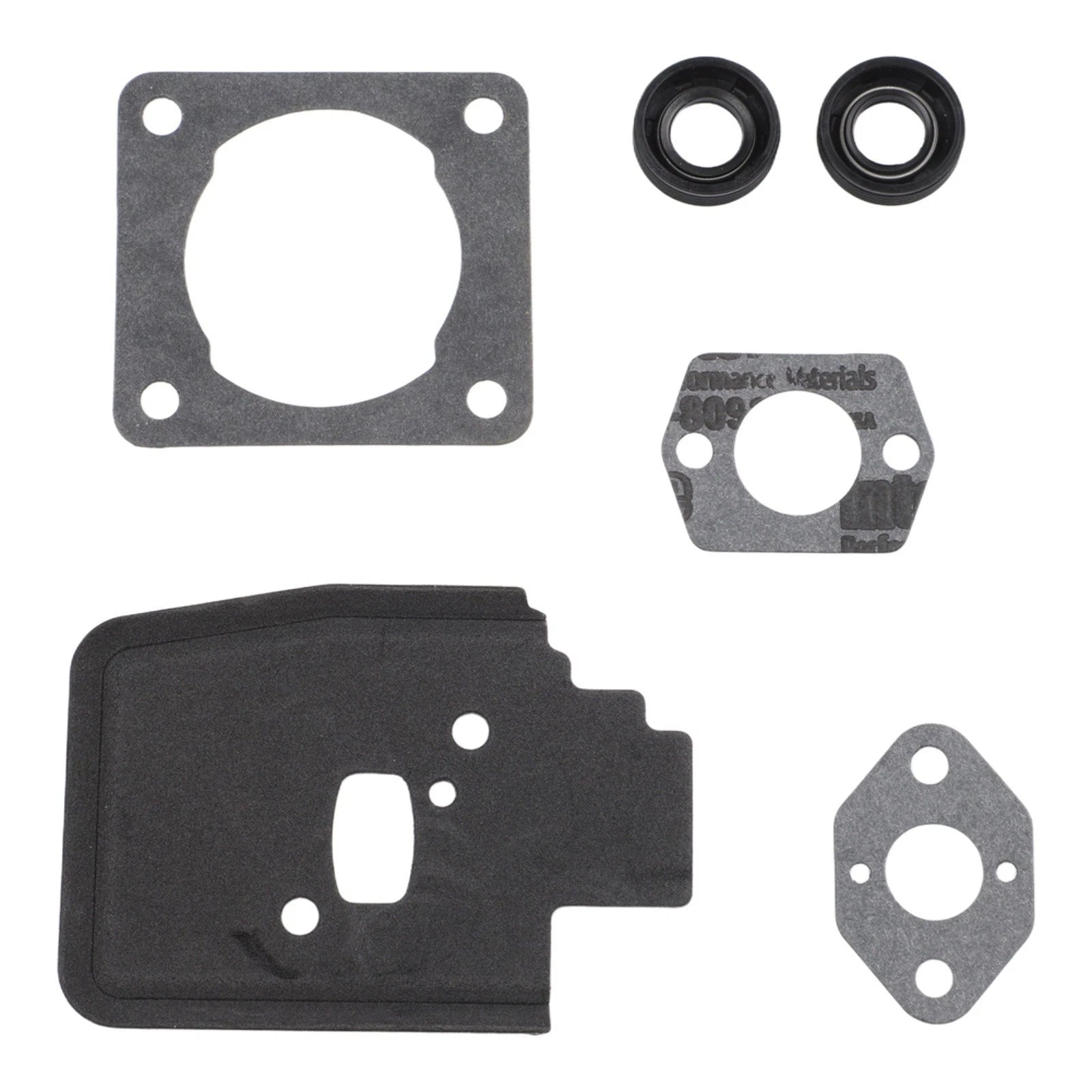 Repair Kit with Gaskets and Seals for FS38 FS45 FS46 FS55 KM55 FC55 MM55 HL45 (No Year)