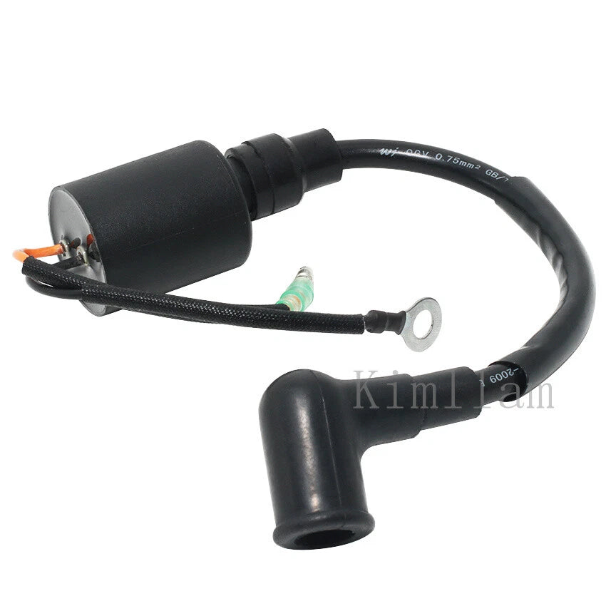 Ignition Coil for Yamaha Outboard 2HP 6A1-85570-00 (1995–2002)