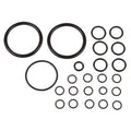Hydraulic Lift Pump Seal Kit for Landini (Replaces 894906M91)