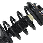 Front Strut Spring Assembly for Infiniti I35 (2002-2004)