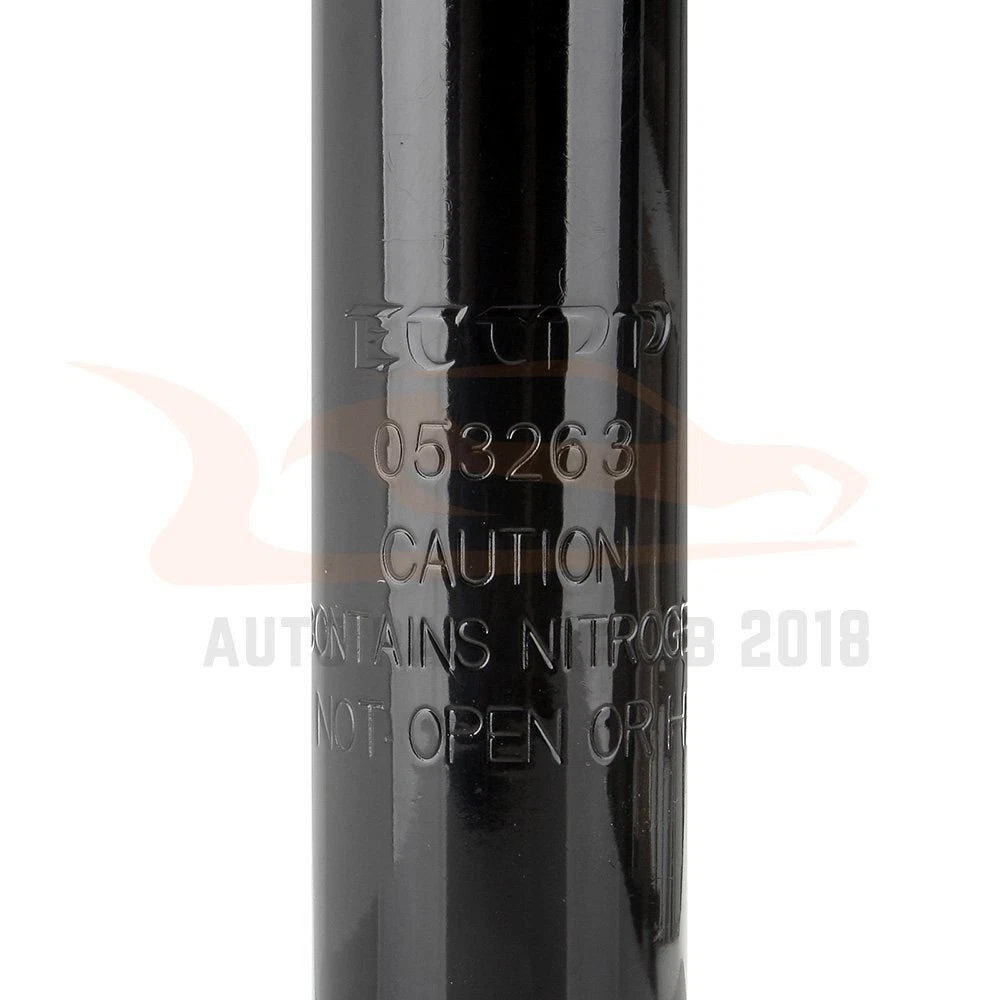 Set of 2 Rear Shock Struts for Nissan Sentra (1995–1999)
