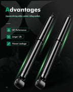 Set of 2 Front Shocks Struts Assembly for Dodge Ram 1500/2500 4WD (1994–2001)