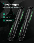 Pair Rear Shock Struts for Kia Soul Plus Sport (2010–2013)