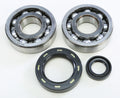 Crankshaft Bearing & Seal Kit for Honda CR500R (1984–2001)