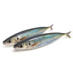 Soft Bait Lure 15cm 33.5g for Bass Trout (3D Printed Silicone)