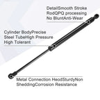 Rear Tailgate Lift Support Gas Struts for BMW 325i (2006 - 2006)