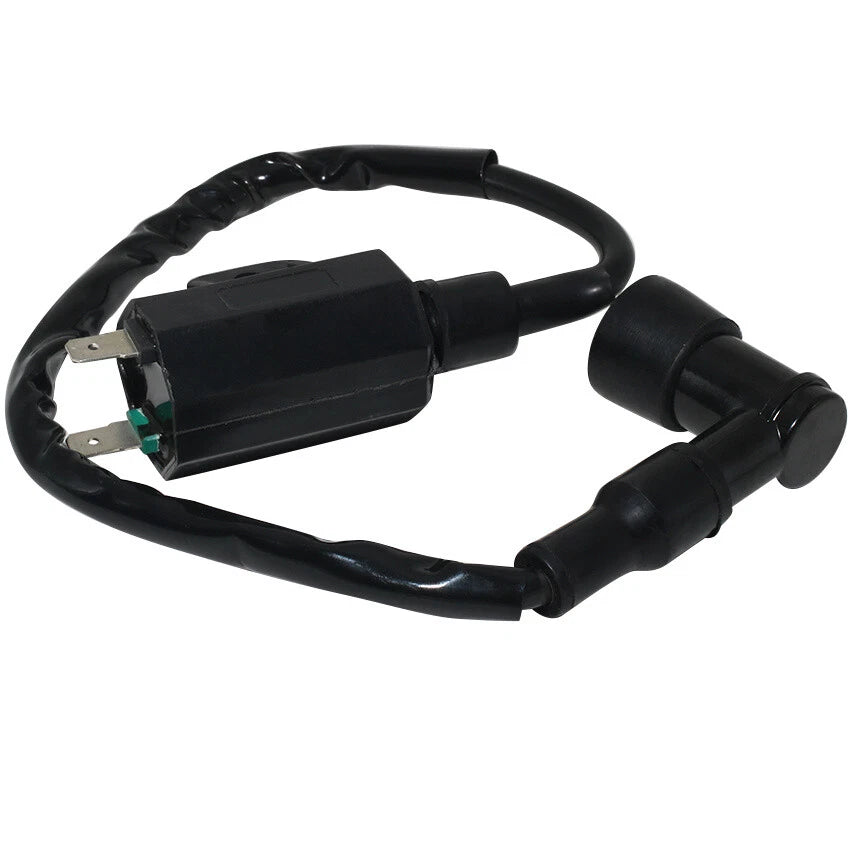 Ignition Coil for Kawasaki KLF250 KLF250A Bayou 250 (2003–2011) 21121-1160 21121-1198