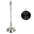 TRW Exhaust Valve for (2010–2020) 331107