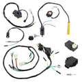 Ignition Coil Wire Harness CDI for Honda ATV (1999–2004) 30700-KCZ-000 31600-HM8-013