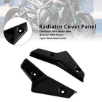 Radiator Side Cover Fairing Panels for Street Triple 765 R/RS (2020–2022) Black