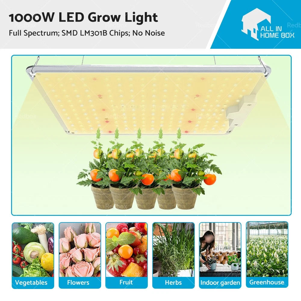 LED Grow Light for Indoor Plants (1000W)