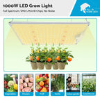 LED Grow Light for Indoor Plants (1000W)