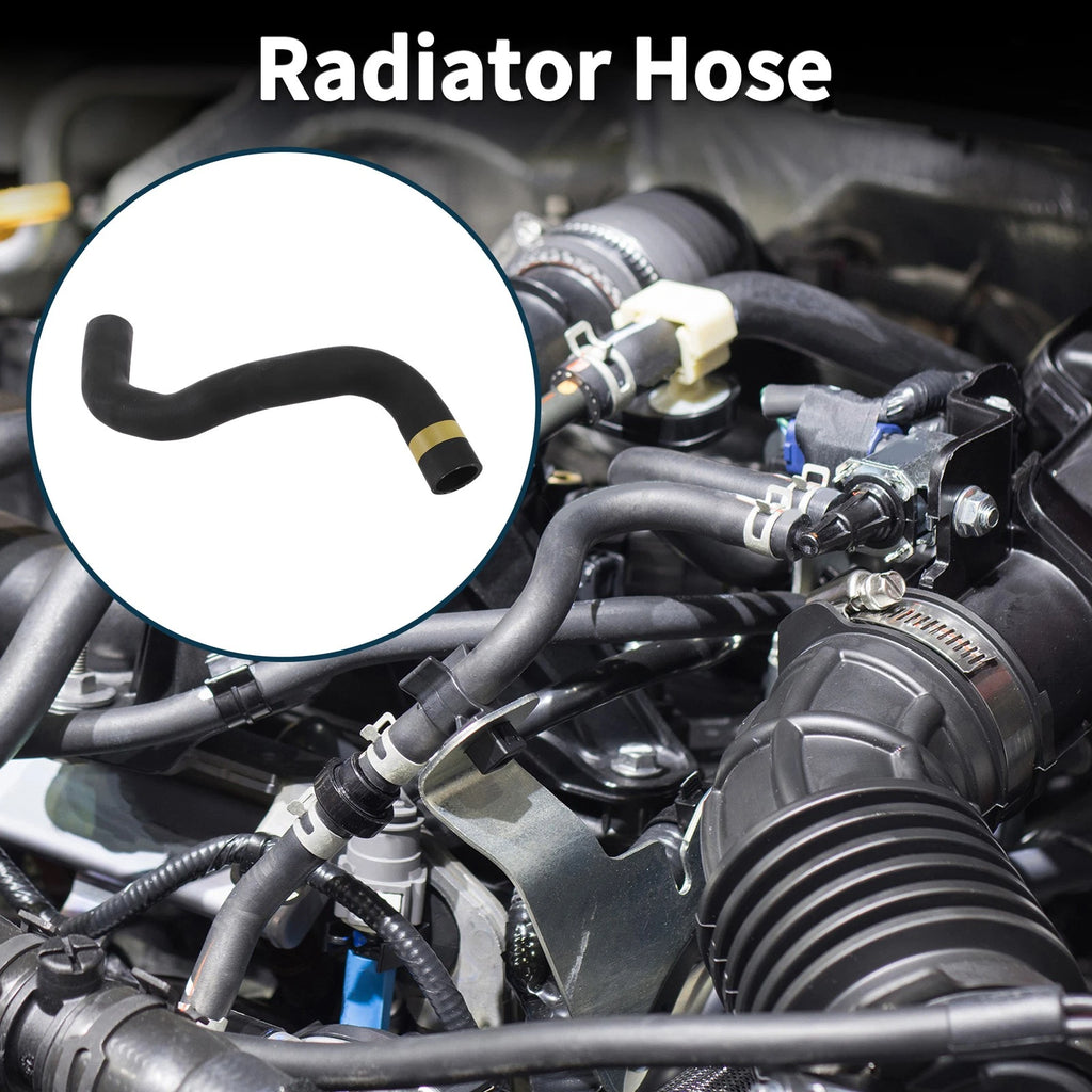 Lower Radiator Hose for Toyota Levin (2017) No. 16572-0Y210