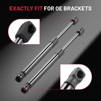 Rear Window Glass Lift Supports Struts Shocks Set for Ford Excursion (2000–2005)