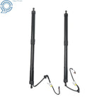 2Pcs Tailgate Liftgate Support Struts for Toyota Highlander (2014-2019)