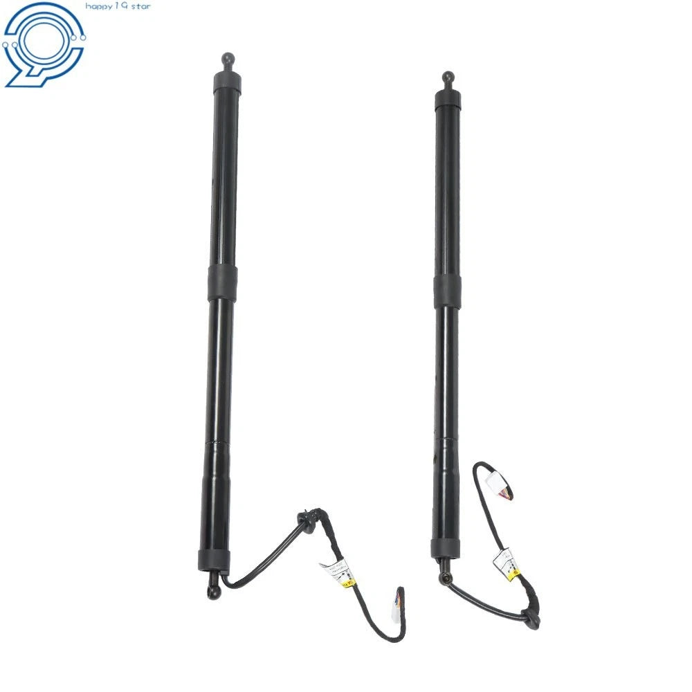 2Pcs Tailgate Liftgate Support Struts for Toyota Highlander (2014-2019)
