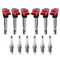 Set of 6 Ignition Coils & Denso Platinum Spark Plugs for Audi Q5 S5 (2009–2017)