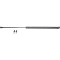 Lift Support for Toyota Tundra (2000–2006) Hood Left or Right