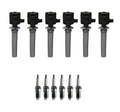 Set of 6 Ignition Coils & 6 Spark Plugs for 3.0L V6 GAS (Denso)