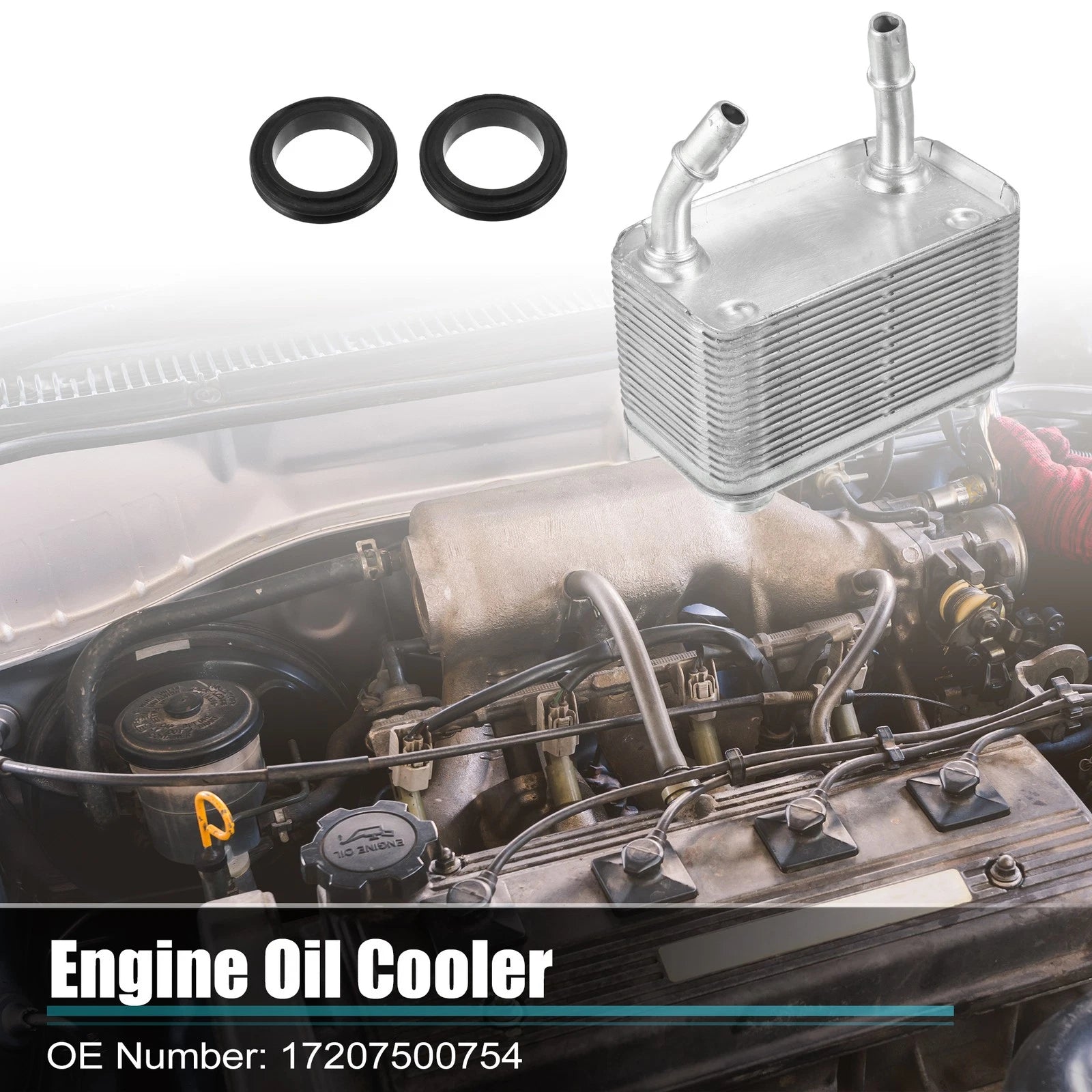 Engine Oil Cooler Housing with Gasket for BMW X5 (2000–2006) 17207500754