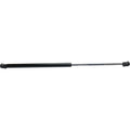 Lift Support for Nissan Murano (2003–2004) Driver and Passenger Side