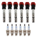 Set of 6 Ignition Coils & NGK Laser Iridium Spark Plugs for NSX A4 A6 Camry V6