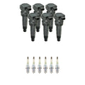 Set of 6 NGK Ignition Coils & Platinum Spark Plugs for Sorento Santa Fe Sonata (V6)
