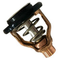 Thermostat for Yamaha F LF 300 350 A B C (2000–2023) 6AW-12411-00