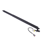 Tailgate Strut for Chrysler Pacifica Voyager (2017-2025)