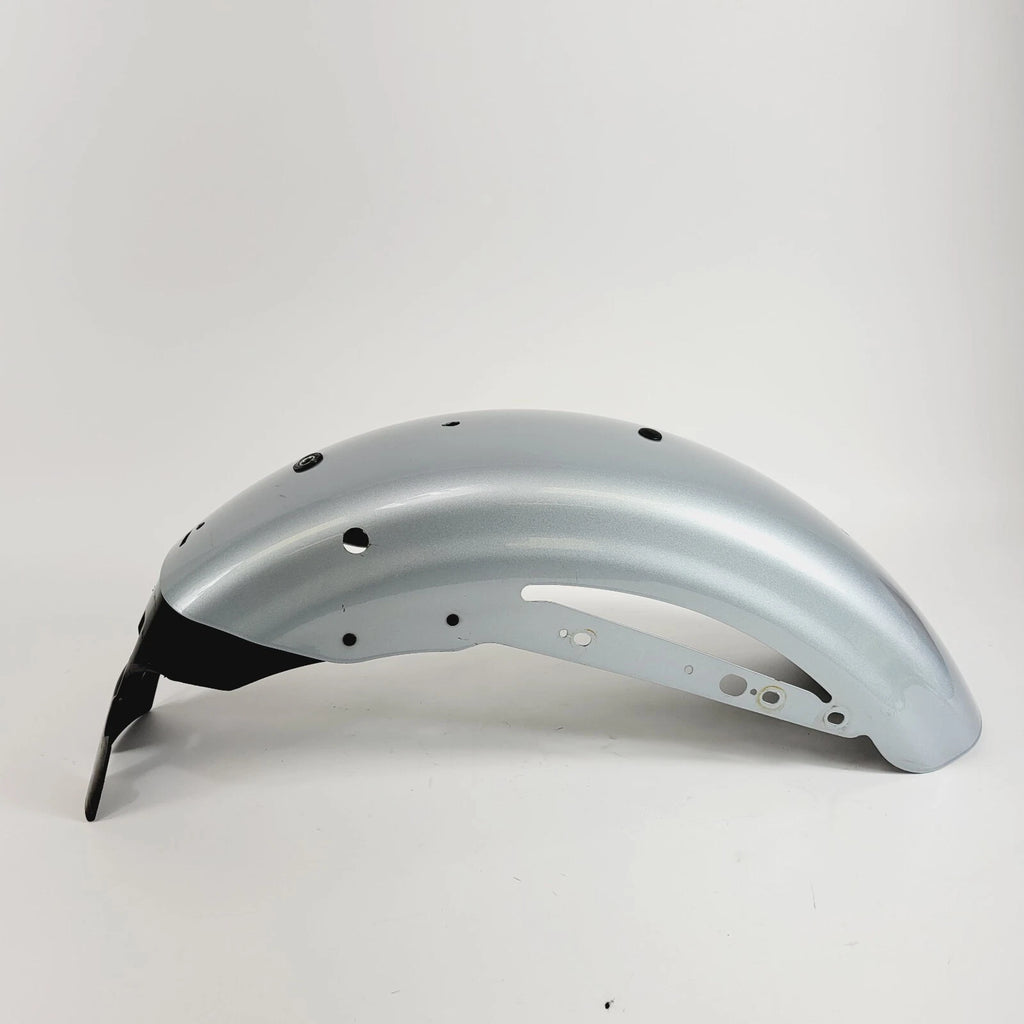 Rear Fender for Harley-Davidson Sportster XL1200NS (2020) Barracuda Silver