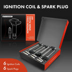 Set of 6 Ignition Coils & Spark Plugs for Ford F150 Edge