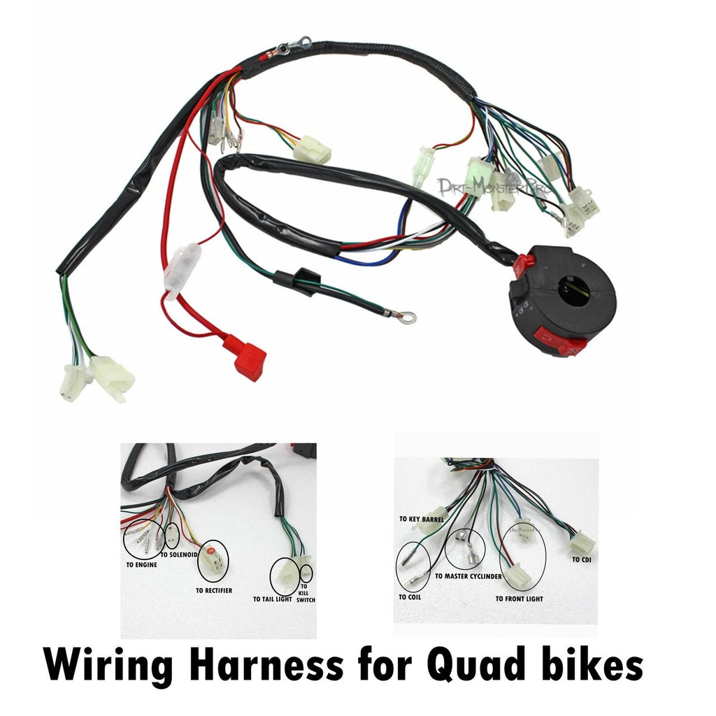 ATV Electric Wiring Harness Loom for 50/70/90/110/125cc Quad Bike (2000–2023)