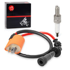 Ignition Coil Spark Plug for Suzuki DRZ400 (2000-2023)