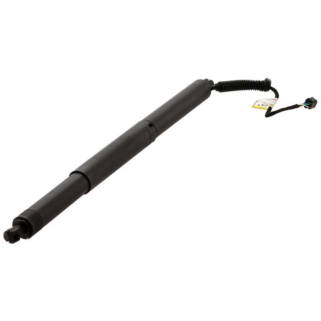 Liftgate Lift Supports for Audi Q5 (2018–2023)