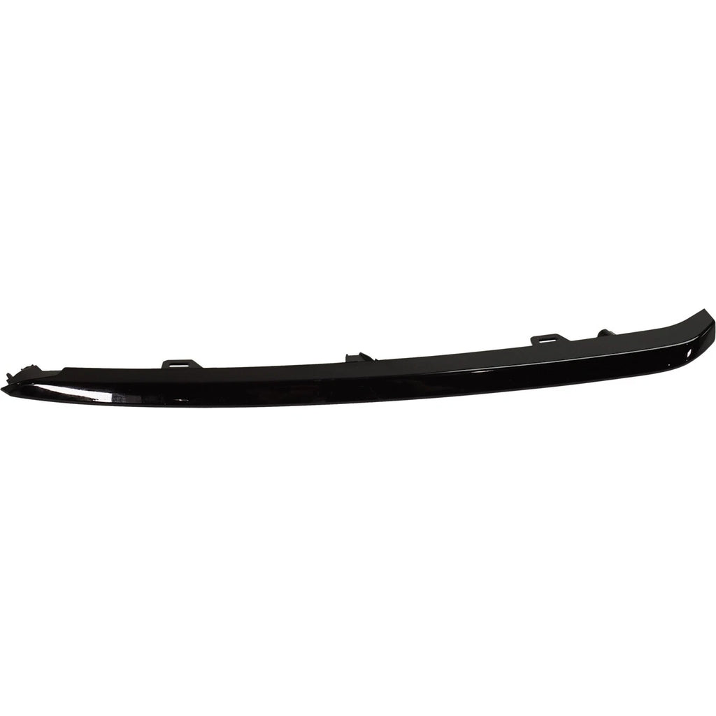 Bumper Face Bar Trim Molding for Passenger Side