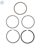 Piston Rings for Honda Fourtrax 300 & TRX300EX Sportrax (1990–2006)