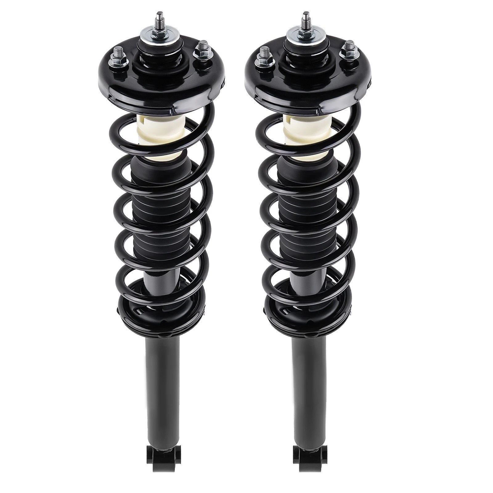 2X Rear Shock Struts Assembly for Acura TSX (2004–2008) 172324 1345794