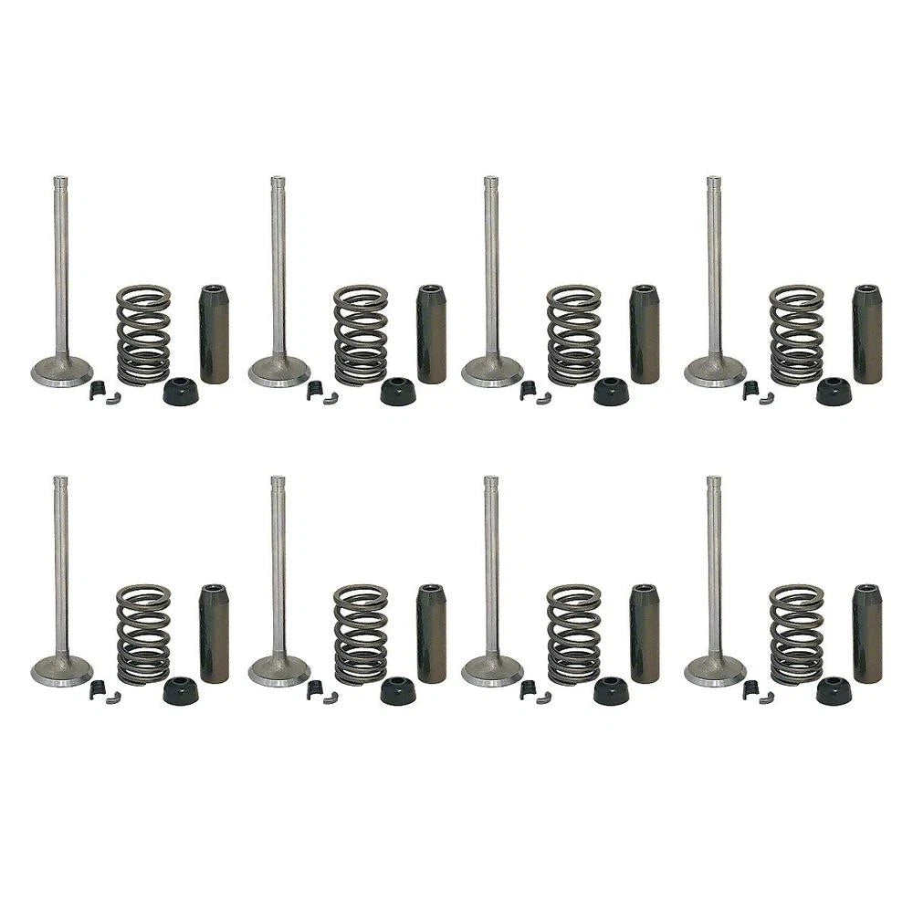 FDS464 Valve Train Kit for Ford (Fits )